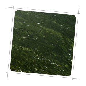 Birjand Green Granite